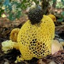 일동농장 이미지