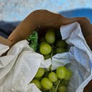 만남의광장(동곡) 이미지