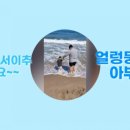 임꺽정참숯화로
