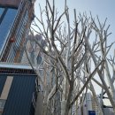 0121-1110= 이미지