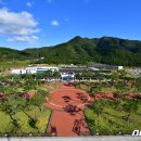 신화랑풍류숲길 이미지