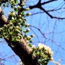 꺽쇠한우 이미지