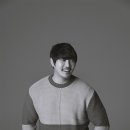 케이씨엠코리아 노컷뉴스