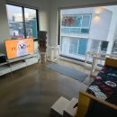 시몬 애견유치원&애견호텔 이미지