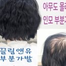 끌림앤유 - 8561 | 끌림앤유