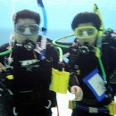 스쿠버월드 이미지