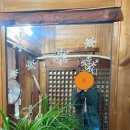 밀양시립도서관 화장실 이미지