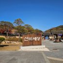 풍기홍삼찐빵 이미지