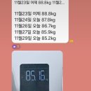 활력 찾기 프로젝트: 올포레 톡에스(Tox S) 내돈내산 후기
