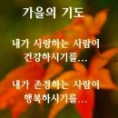 예쁜하루 이미지