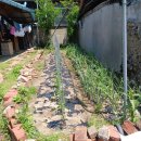 시티이용소 이미지