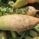 당진시농업기술센터 이미지