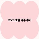 코모도호텔 경주 | 코모도호텔 경주 후기 잊지 못할 여행의 시작