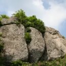 축령산자연휴양림 이미지