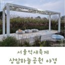 상암 하늘공원 억새축제 야간 산책 후기