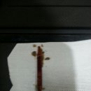 한일카써비스 이미지