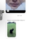 현미사 이미지