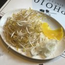 일산 쌀국수 분짜 맛집 웨스턴돔 동남아음식점 포텐 PHO10