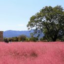 (주)단골스포츠 이미지