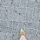 (주)마스터핏 이미지