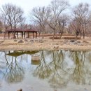 율하체육공원 생태연못 이미지