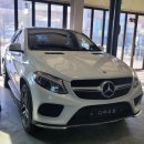 디아우토 이미지