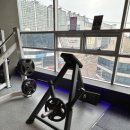MUT GYM 이미지