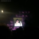 이승환 콘서트 공연의 기원 이미지