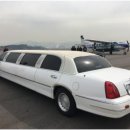 VIP 리무진투어 이미지