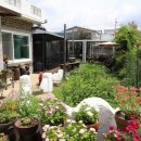 청주민박 이미지