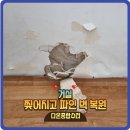 벽동 | 벽지석고벽동시복원 깨짐찢어짐하자보수