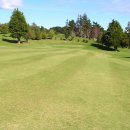 알바트로스골프장 이미지