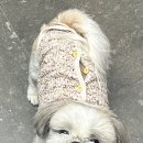 디자인모에 이미지