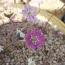 애지중지 이미지