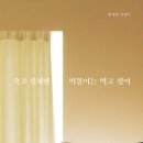 떡볶이먹고가 - 서초구 신반포로11길 40 | 떡볶이먹고가