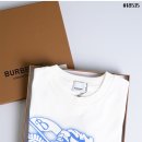 화이트코튼 이미지