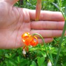 아름다운농장비밀의화원 이미지