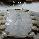 섬수산 이미지