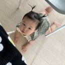 뚱띠토스트 이미지