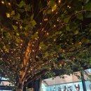 불난술집 제주도남점 <b>제주</b> <b>도남</b> 매운음식 땡길 때 불닭 닭발 닭날개 맛집 "땡겨불닭"
