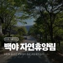 휴양림 관리사무소 화장실 | 백야 자연휴양림 녹지관 304호 후기｜꼭 챙겨야 할 준비물 리스트