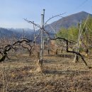 한은농장 이미지