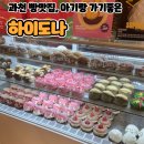 하이도나 | 과천빵맛집 하이도나, 아기랑 가기 좋은 도넛카페 후기