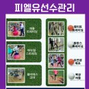 피엘유 이미지
