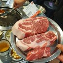 월화고기 이미지
