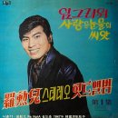 님그리워_나훈아 1969반주 이미지