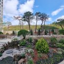 동해자이공인중개사사무소 이미지