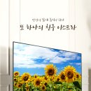 강원필링라이프 이미지