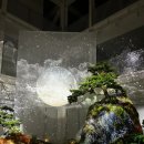 정원비디오 이미지