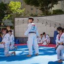 용인대국가대표 태권도 이미지